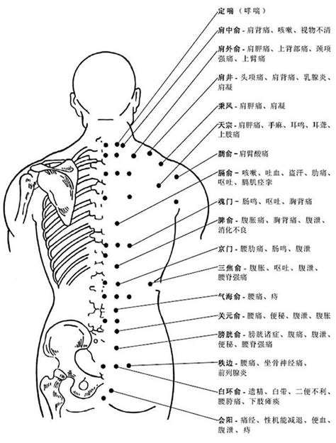 長生學穴位